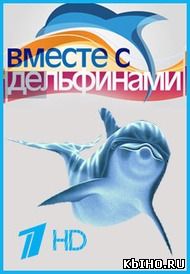 Фильм онлайн Вместе с дельфинами. Онлайн кинотеатр all-serialy.ru